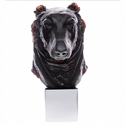Daum   Animals   Dogs - Daum Dandys Andrew Greyhound Black
