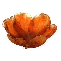 Daum   Home Decor   Bowls - Daum Tulip Bowl Amber