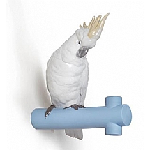 Lladro   Animals   Birds - Lladro Parrot Hang I