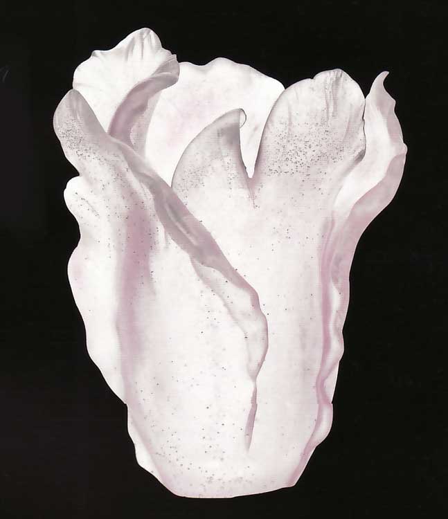 Daum Tulip Vase, Waterford, Waterford Crystal, Swarovski Swarovski