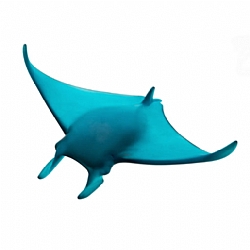 Daum   Animals   Aquatic Animals - Daum Umberto Small Manta Ray