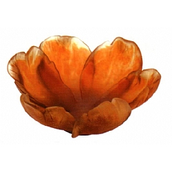 daum   Home Decor   Bowls - Daum Tulip Bowl Amber